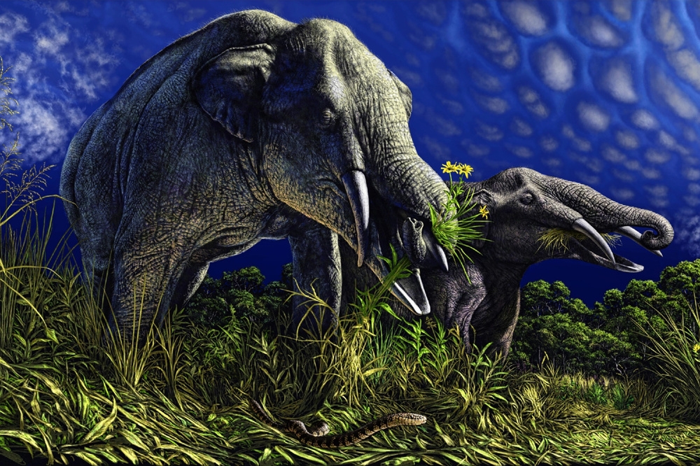 5 интересных вымерших слонов
5 интересных вымерших слонов