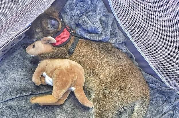 Подборка прикольных фото №3929