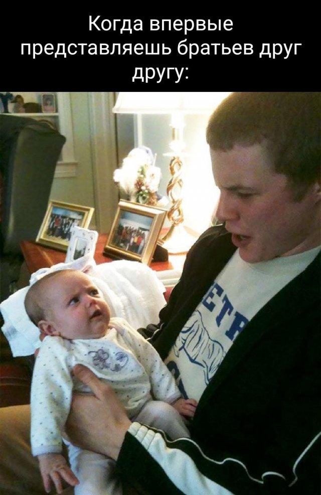 Шутки и мемы из Сети про братьев и сестер