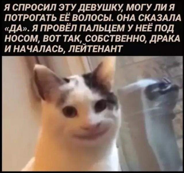 Смешные мемы