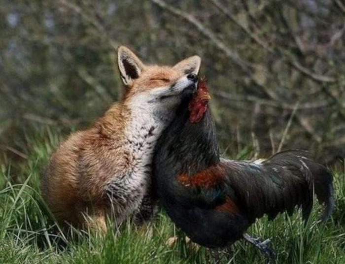 Подборка прикольных фото №3930