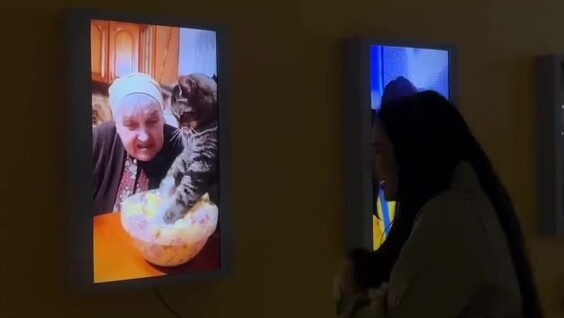 
        Вместо полотен &mdash; экраны: в&nbsp;Москве запустили выставку рилсов    