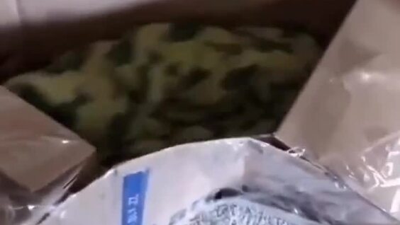 
        С&nbsp;папой всегда веселее    