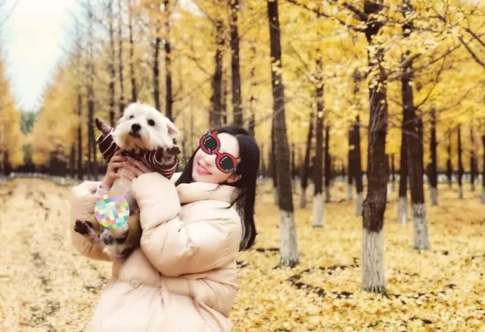 В Пекине сосед отравил собаку: виновного наказали после нескольких лет разбирательств
В Пекине сосед отравил собаку: виновного наказали после нескольких лет разбирательств