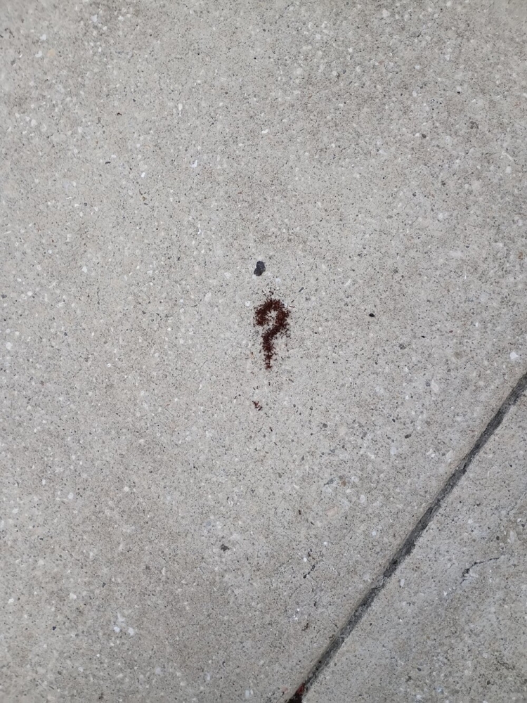 
        22&nbsp;случая, когда мать-природа включила режим &laquo;рояль в&nbsp;кустах&raquo;    