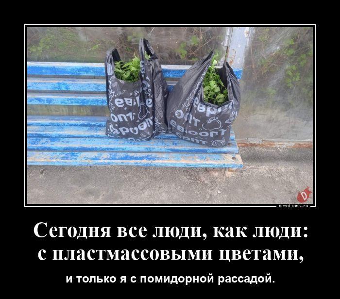 
			Демотиваторы №3795 (20 фото)