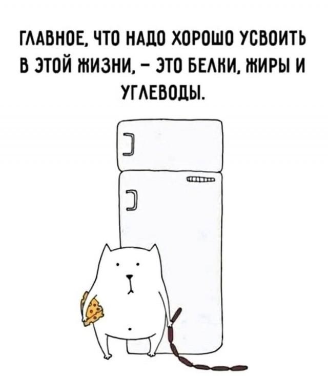 Подборка прикольных фото №3934