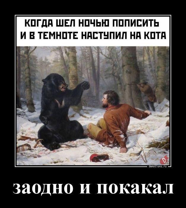 
			Демотиваторы №3794 (16 фото)