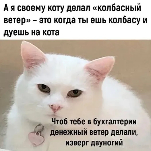 Мем №1598164