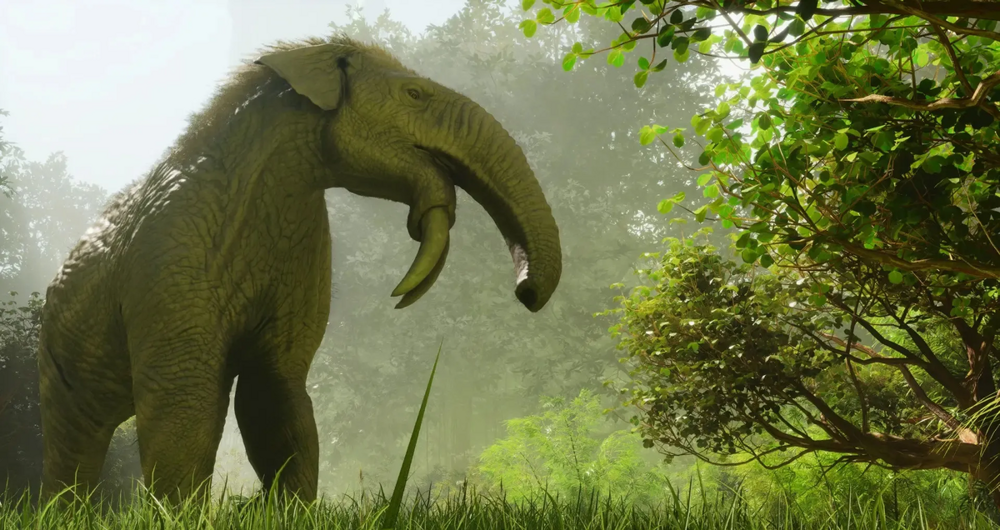 5 интересных вымерших слонов
5 интересных вымерших слонов