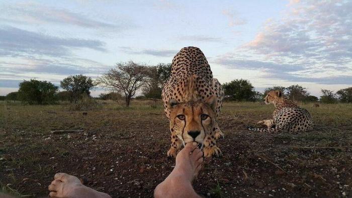 Подборка прикольных фото №3921