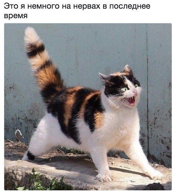 Подборка прикольных фото №3937