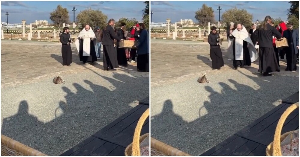 
        Батюшка освятил кота    