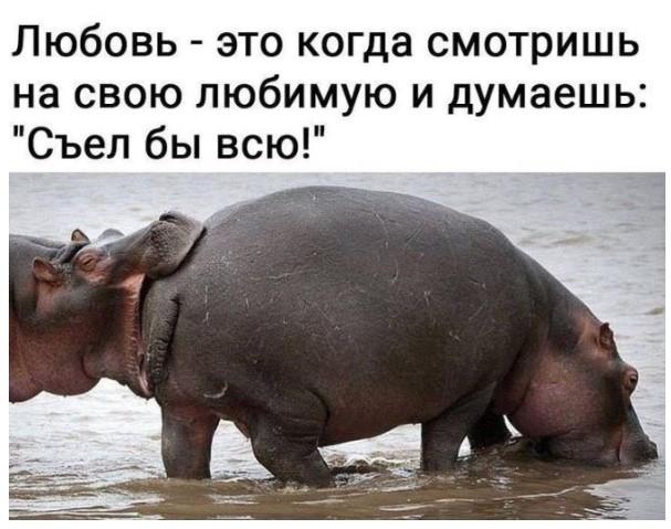 Подборка прикольных фото №3934