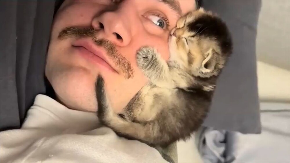 
        Уважительная причина опоздания на&nbsp;работу    