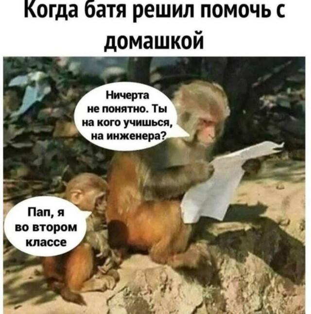 Смешные мемы