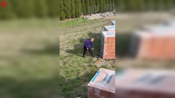 
        Дартс по-взрослому    