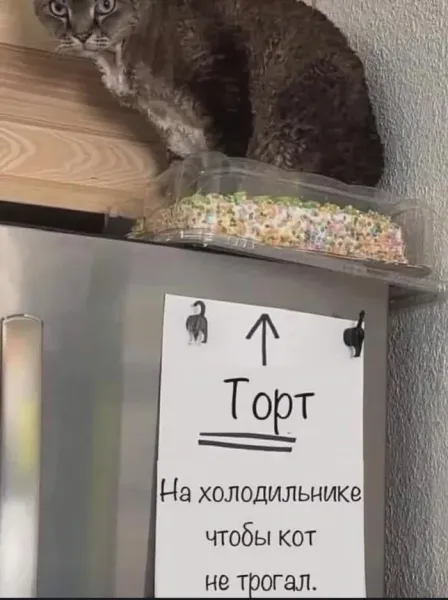 Мем №1605683