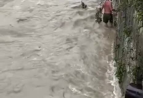
        Мужчина спас собаку из&nbsp;бурной реки в&nbsp;Сочи    