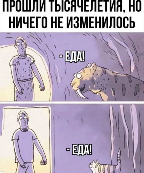 Мем №1599984
