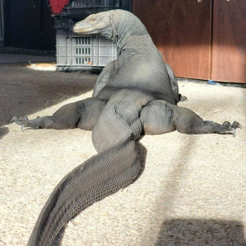 
        35&nbsp;фотографий забавного абсурда, который нас&nbsp;окружает    