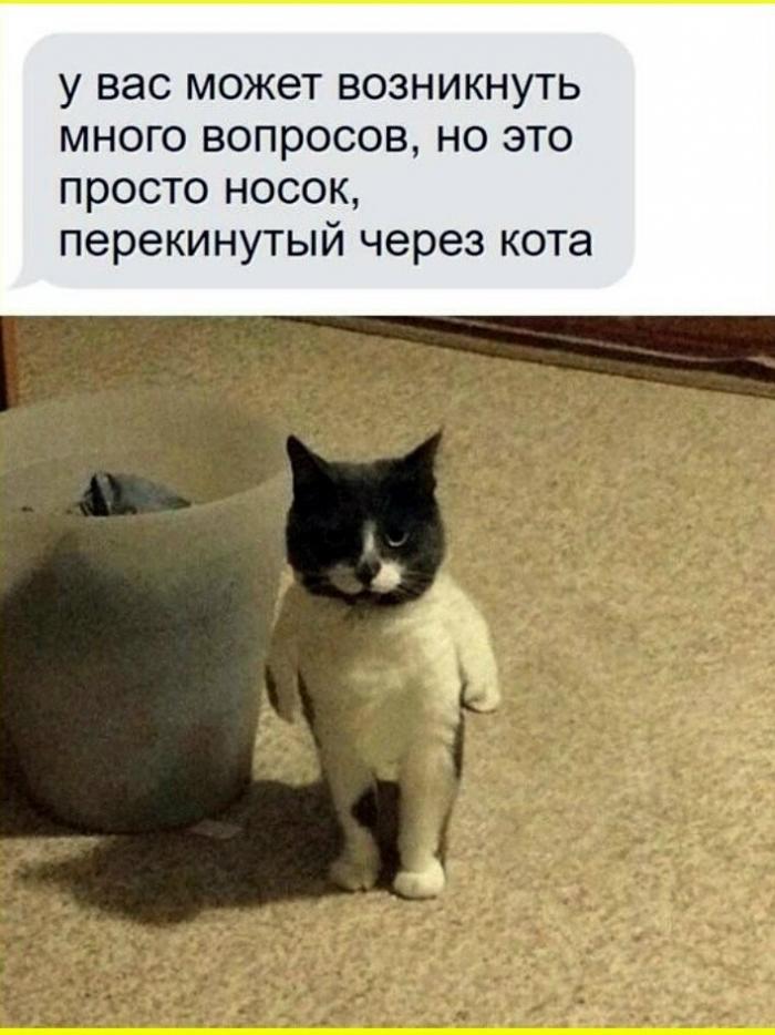 Смешные картинки