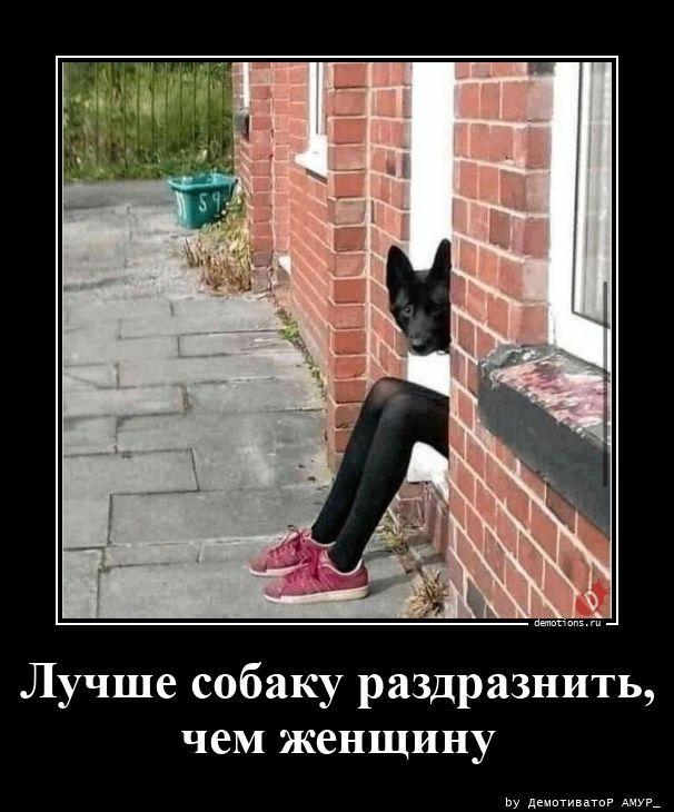 
			Демотиваторы №3798 (20 фото)