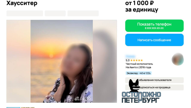 “Схожу за вас в церковь” и виртуальные питомцы: в Петербурге нашли необычные способы подработки “Схожу за вас в церковь” и виртуальные питомцы: в Петербурге нашли необычные способы подработки