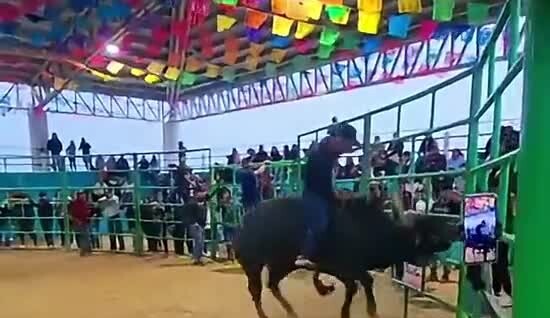 
        Парень застрял в&nbsp;снаряжении и&nbsp;оказался под&nbsp;копытами быка    