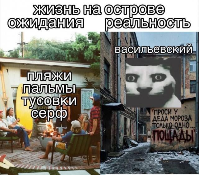 Смешные картинки