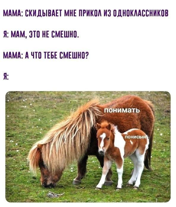 Смешные картинки