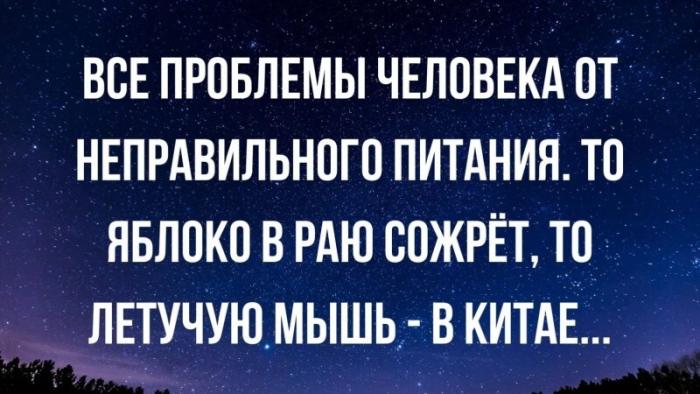 Не ищите здесь смысл. Здесь в основном маразм