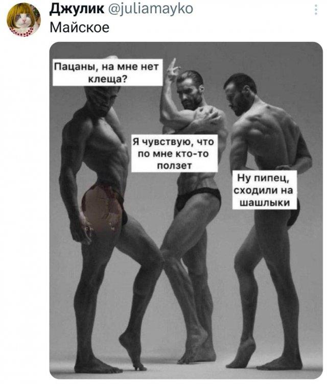 Подборка забавных твитов обо всем