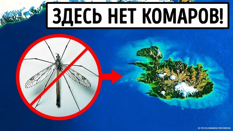 
        10&nbsp;забавных, но&nbsp;правдивых фактов    