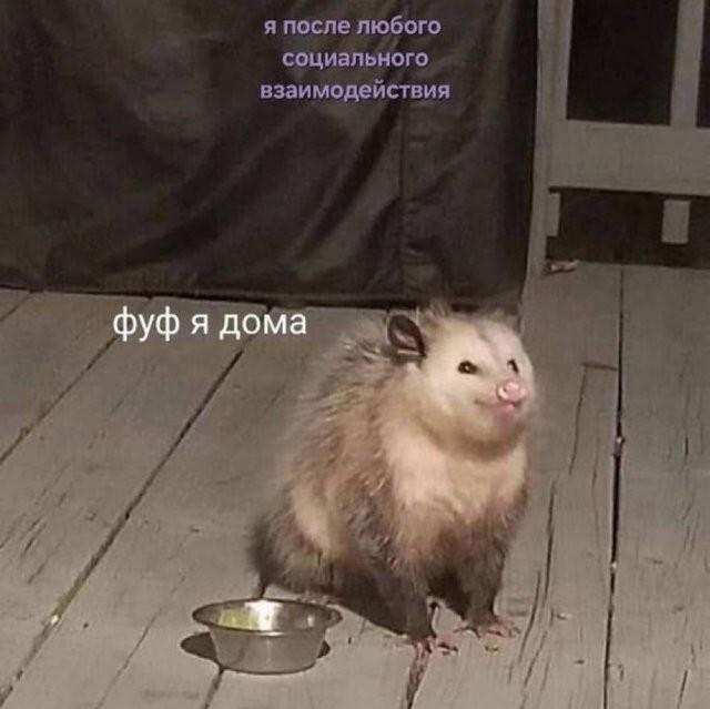 Смешные картинки