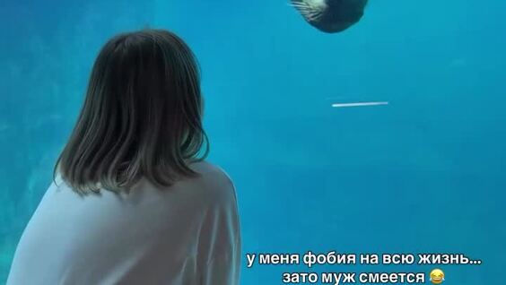 
        Тюлень напугал посетительницу зоопарка    