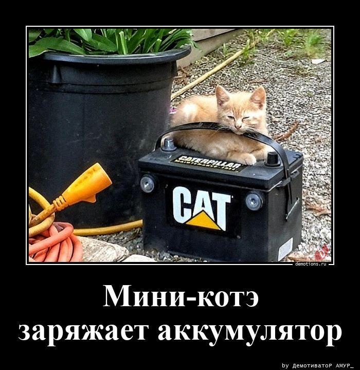 
			Демотиваторы №3797 (20 фото)