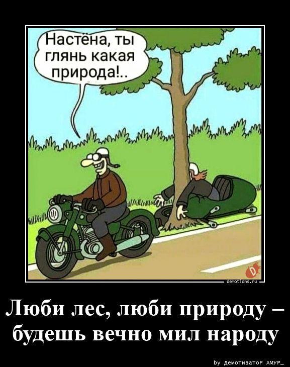 
			Демотиваторы №3800 (20 фото)