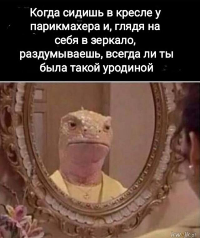 Подборка прикольных фото №3950