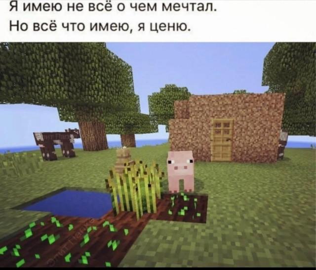 Смешные картинки