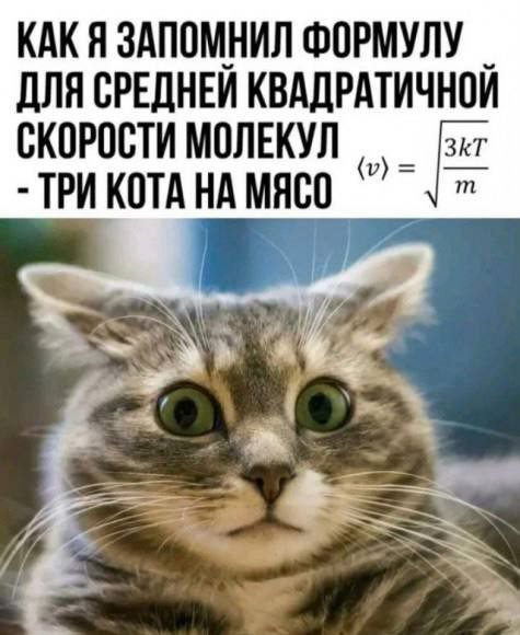 Мем №1599582