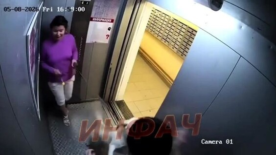
        В&nbsp;Новосибирске в&nbsp;лифте лабрадор кидался на&nbsp;парней, пока владелица с&nbsp;ухмылкой наблюдала за&nbsp;происходящим    
