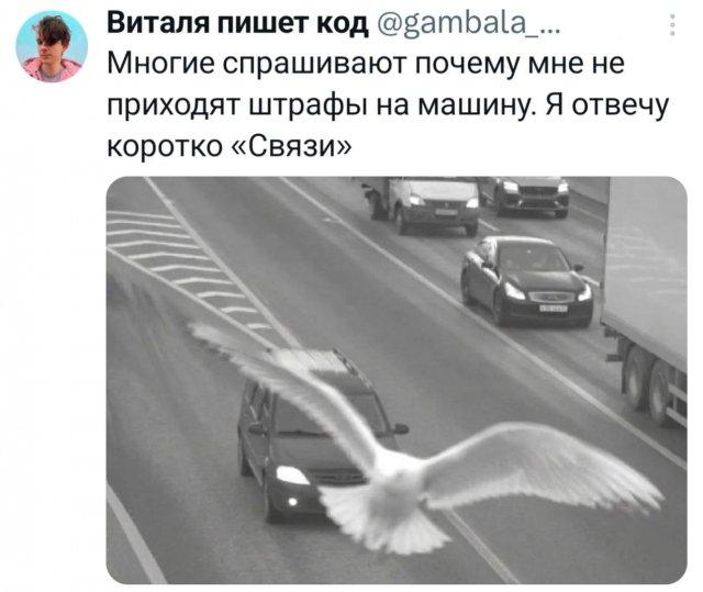 Подборка забавных твитов обо всем