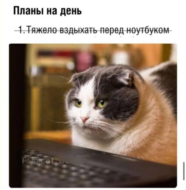 Подборка прикольных фото №3946