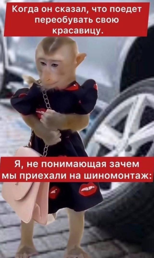 Лучшие шутки и мемы из Сети