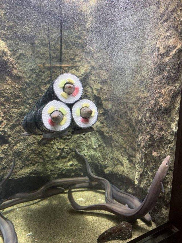 Подборка прикольных фото №3962
