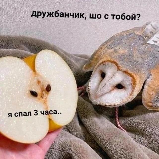 Смешные картинки