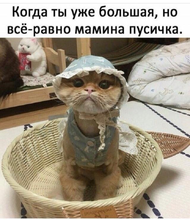Подборка прикольных фото №3955