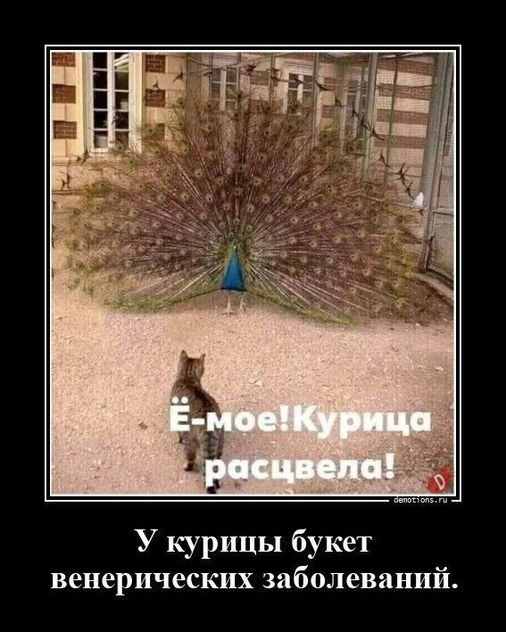 
			Демотиваторы №3798 (20 фото)