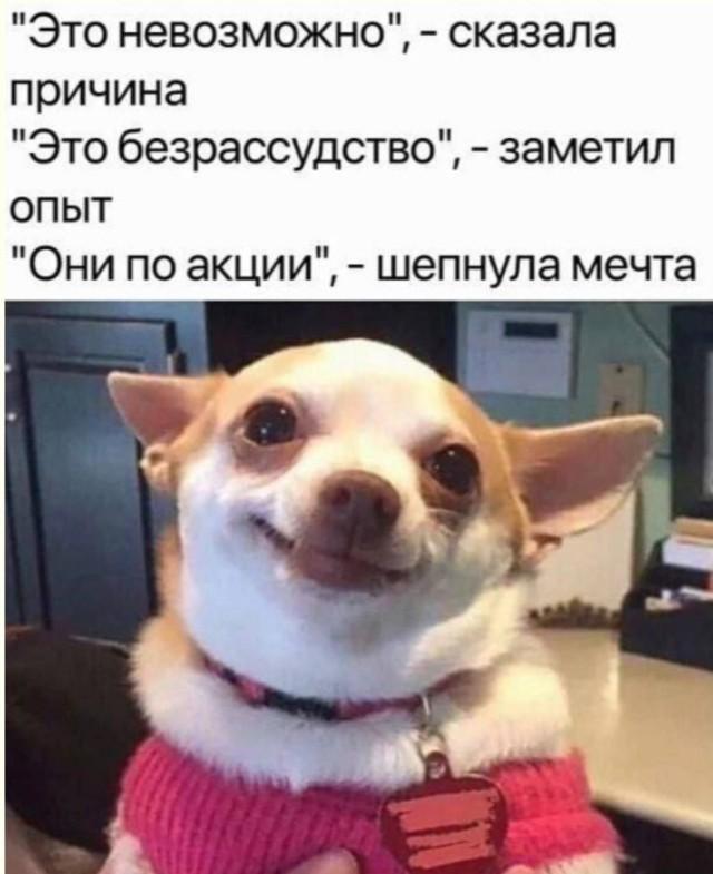 Лучшие шутки и мемы из Сети